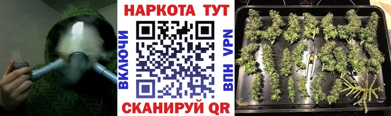 Как найти закладки Ярославль Cocaine  Alpha-PVP  Гашиш  МАРИХУАНА  Мефедрон 