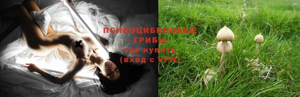 ECSTASY Абаза