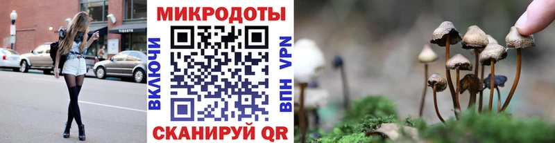 площадка официальный сайт  Ярославль  Псилоцибиновые грибы Psilocybe 